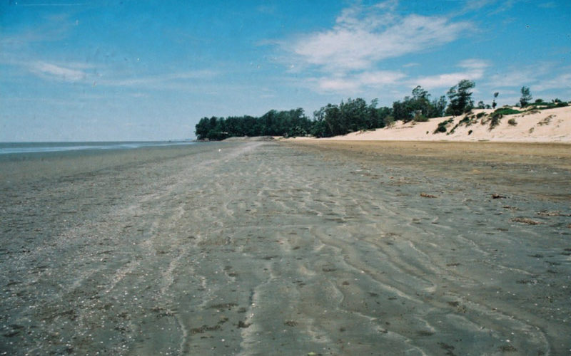 Hide and Seek, Chandipur Beach, Orissa