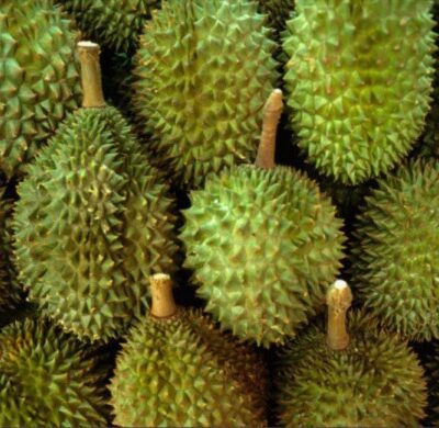 Durian