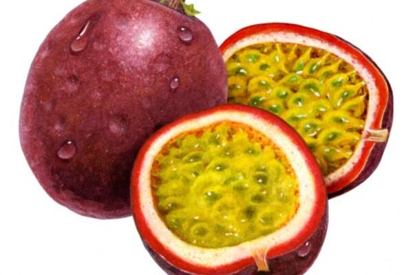 Passion Fruit