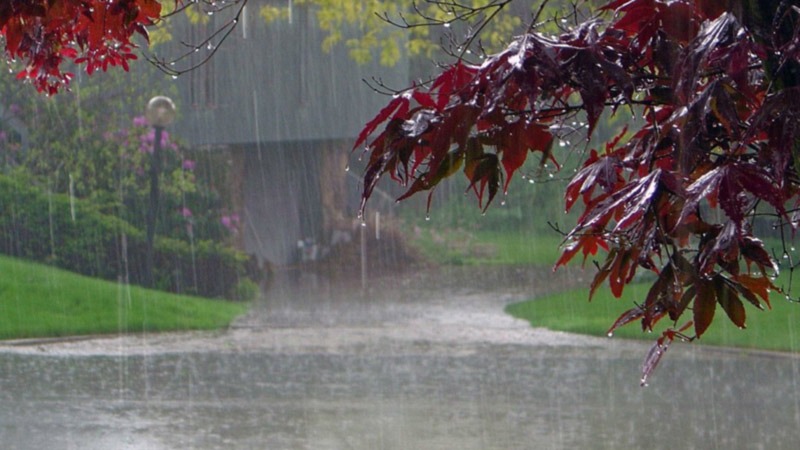 Red Rain, Kerala