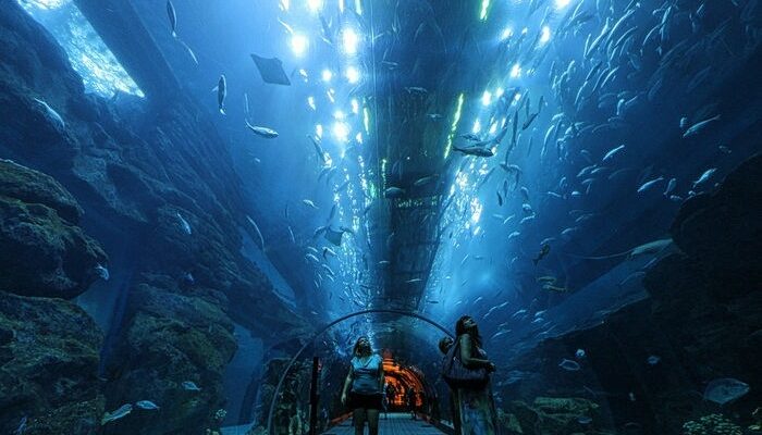 dubai_underwater_zoo