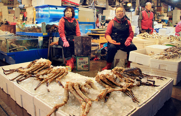 10-amazing-things-to-do-in-seoul-south-korea-fish-market-sabrina