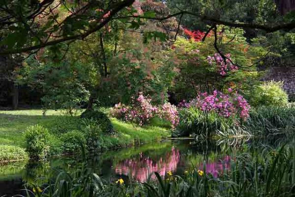 Keukenhof-Gardens