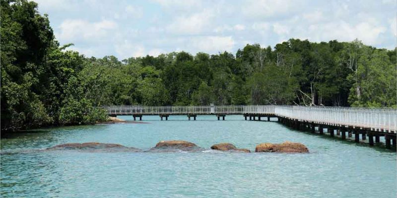 pulau-ubin-48