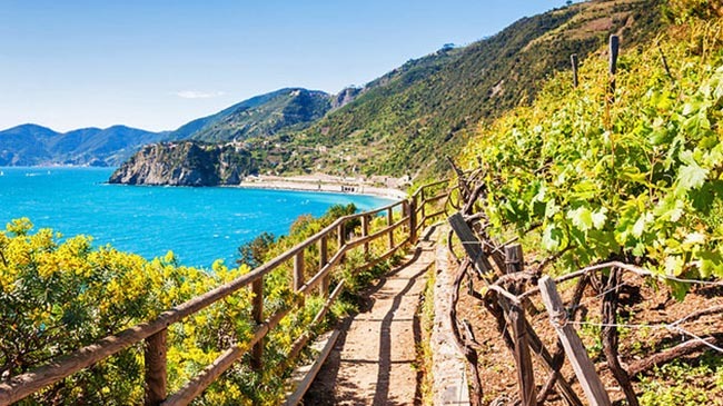 hiking cinque terre