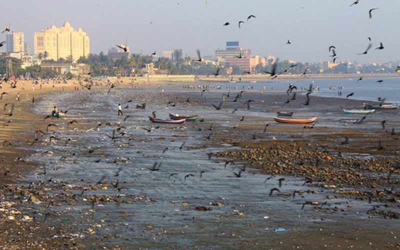 ساحل Chowpatty