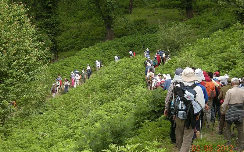 جنگل های اطراف سوباتان