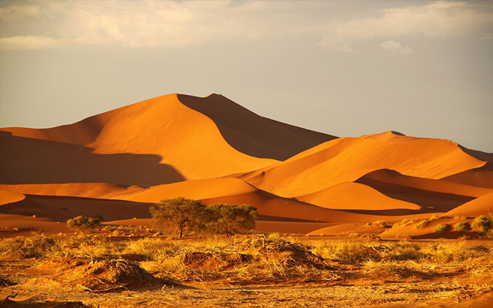 بیابان نامبیا