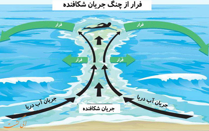 مرگ و میر دریا