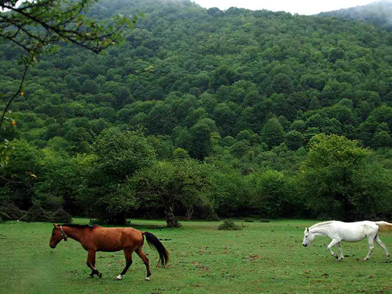 الیمستان