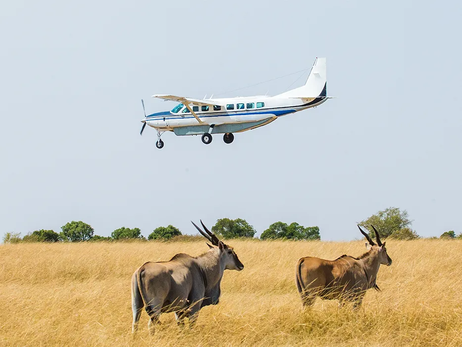 سافاری Fly-In Safaris