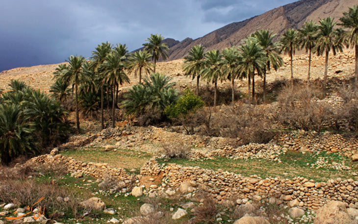 روستای دیدین لیوس