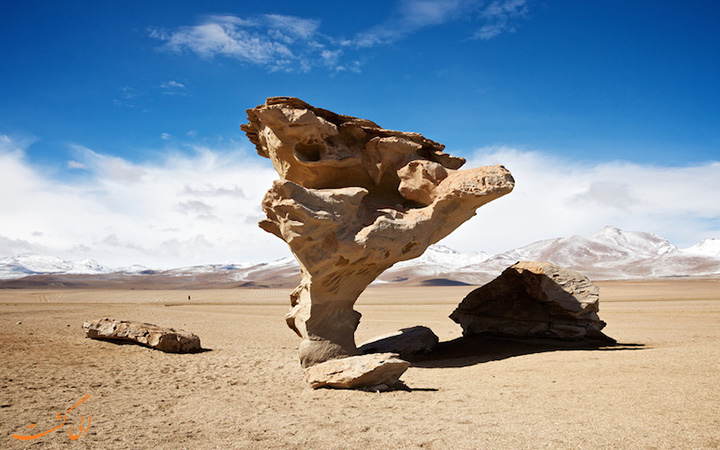 صخره ی Arbol de Piedra