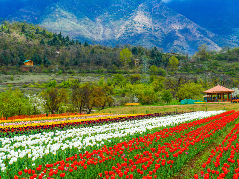 راهنمای سفر به کشمیر