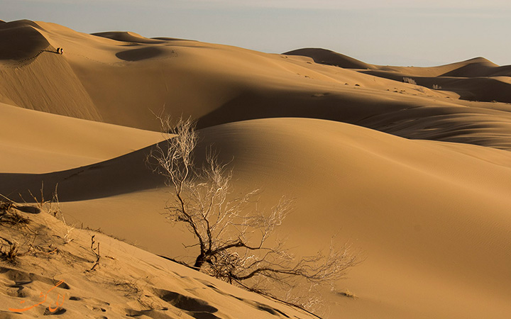 کویر حلوان، طبس