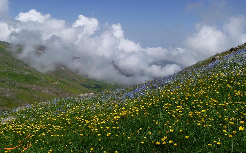 سوباتان