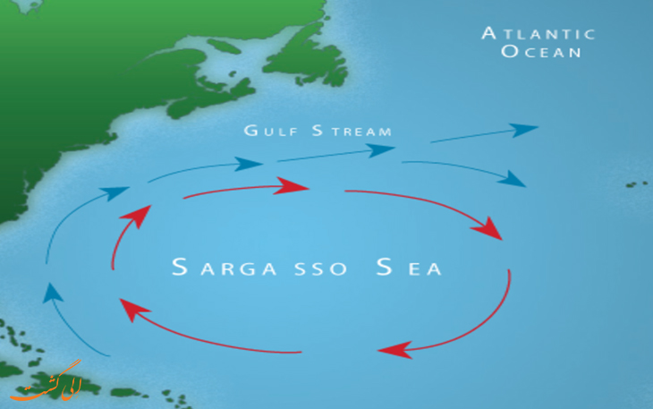 نقشه دریای سارگاسو