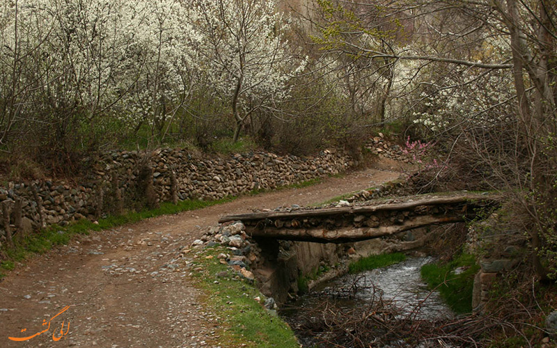 روستای خرو