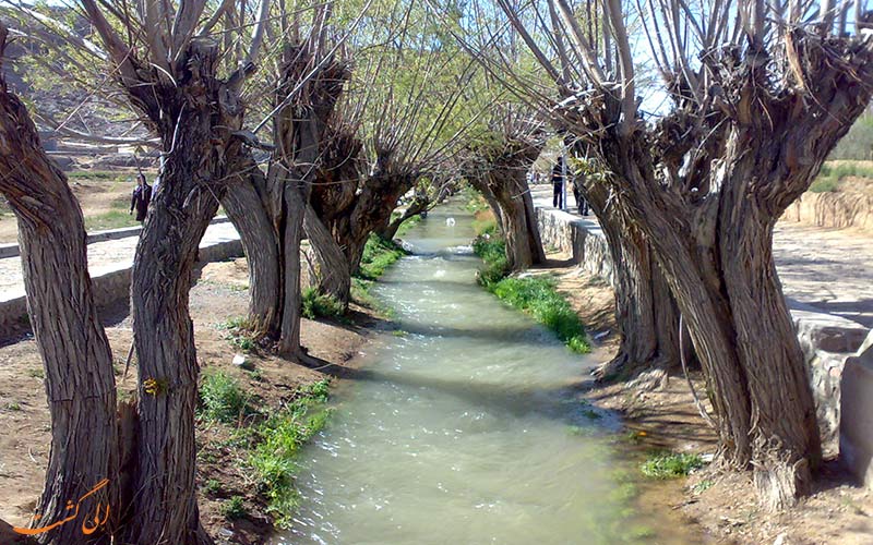 سرو-مهریز