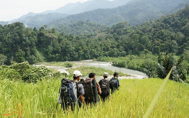 پارک ملی Gunung