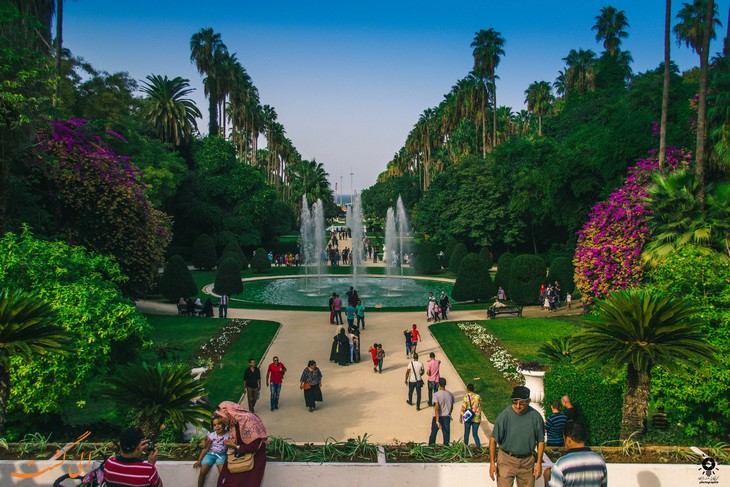 باغ گیاه شناسی الجزیره