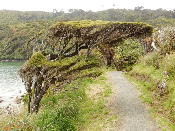 Heaphy Track