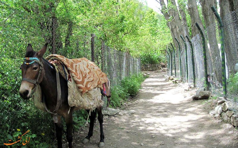 مسیر پیاده روی روستای آهار