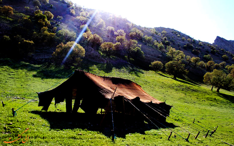 عشایر در دره عشق