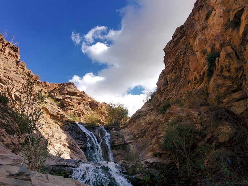 روستای برگ جهان