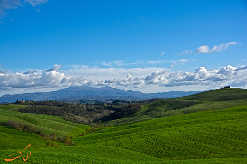 Florence garden