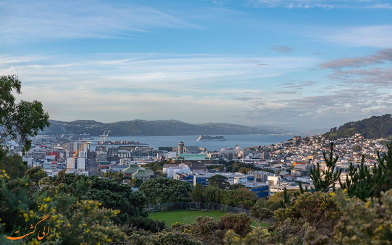 wellington