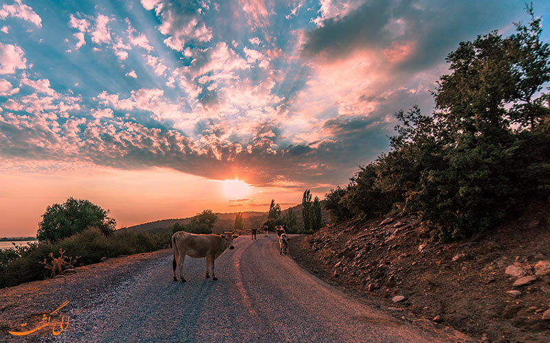 ترکیه