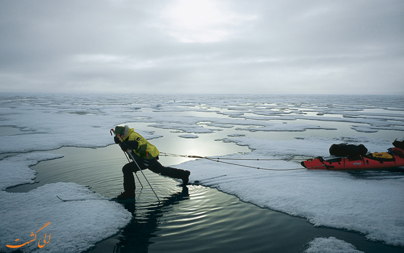 قطب شمال | Arctic Pole