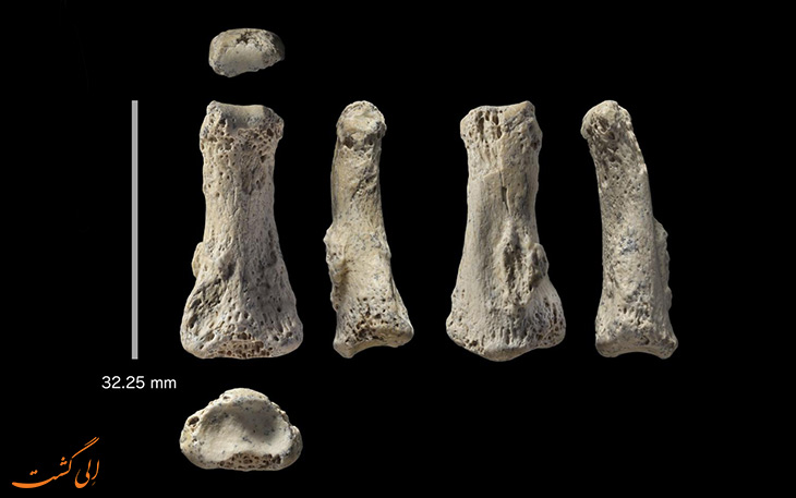 کشف یک استخوان 88 هزار ساله