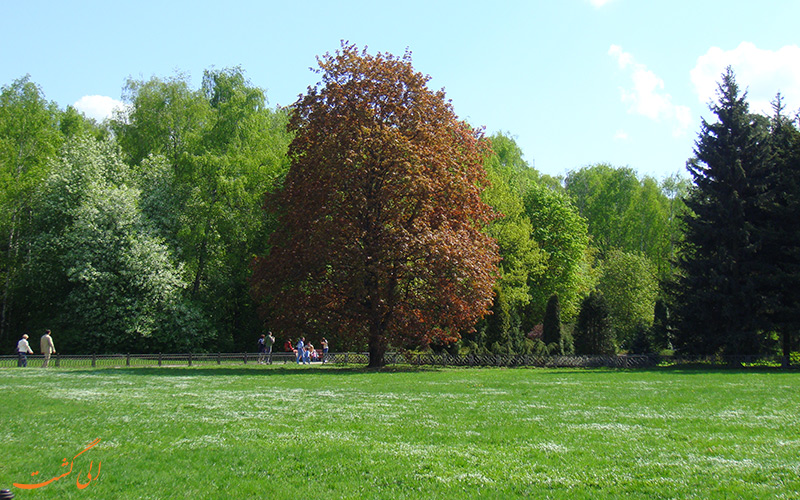 جاذبه های مسکو