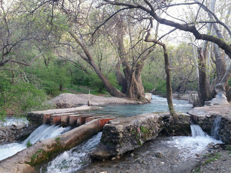 طبیعت گردی در همدان