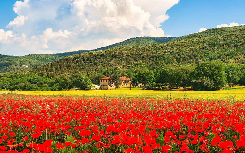 طبیعت گردی در ایتالیا | توسکانی