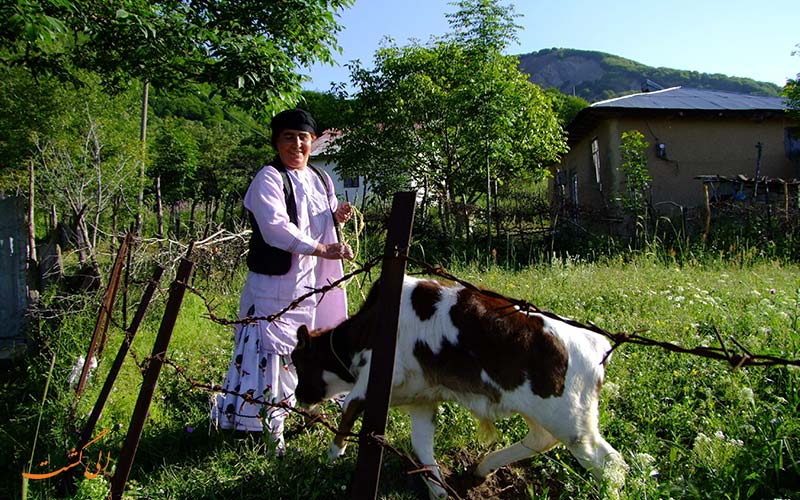 مردم محلی روستای داماش