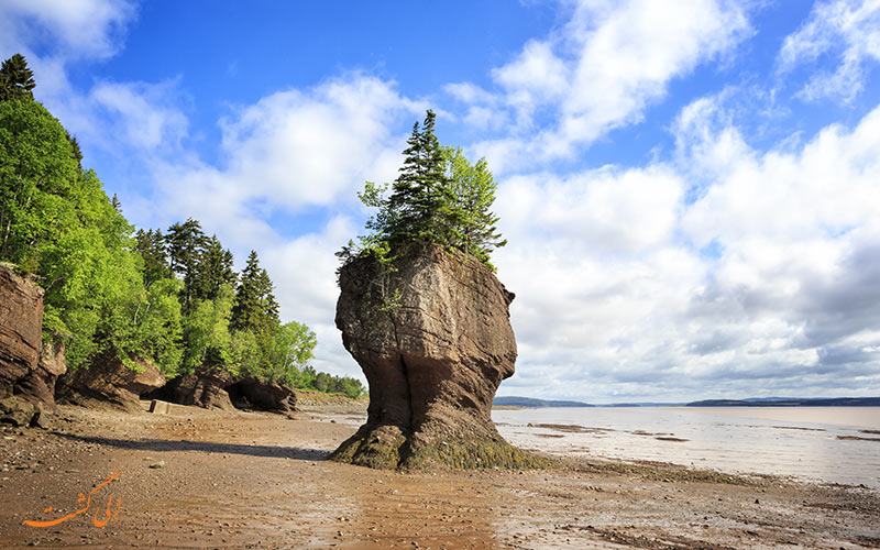 صخره های هاپول | Hopewell Rocks