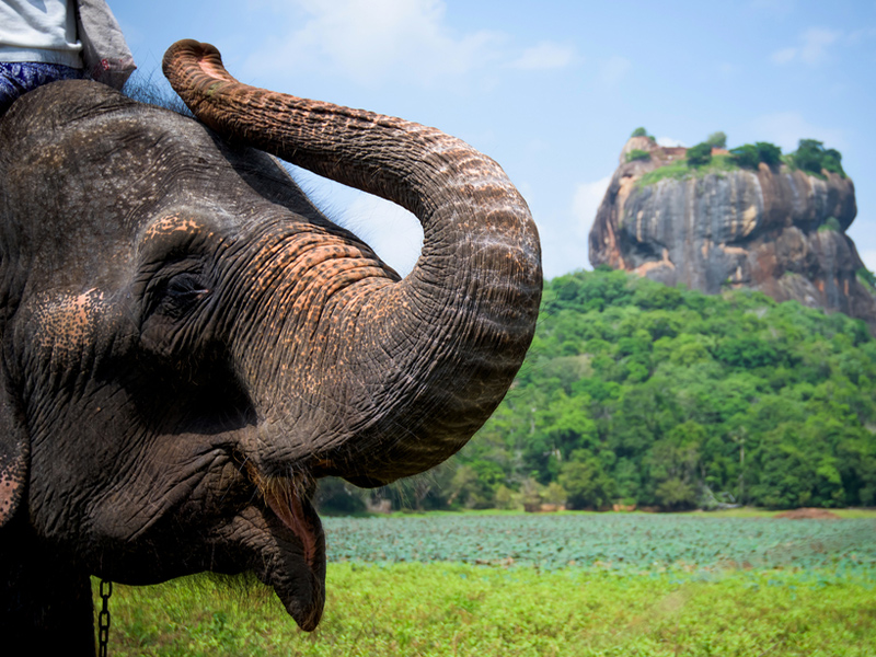 پارک های ملی سریلانکا