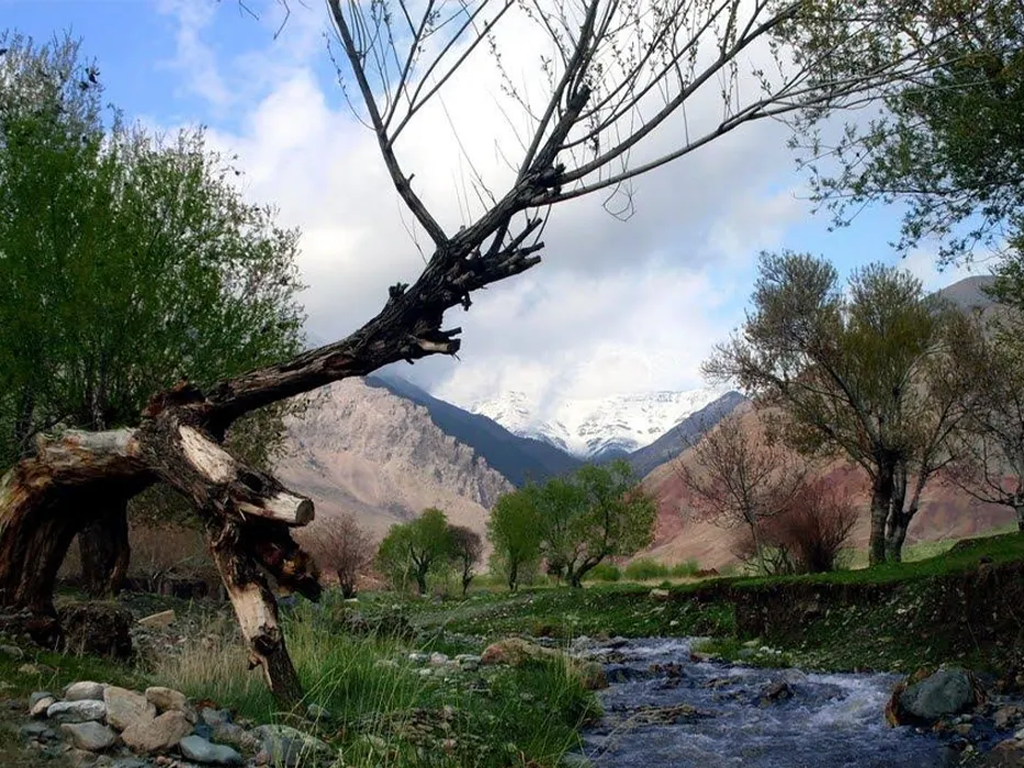 باغرود نیشابور