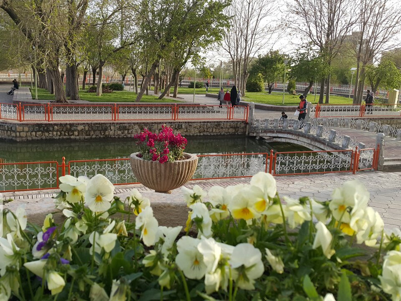 بارک سیفیه