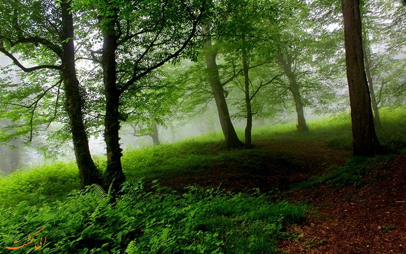 روستای زیبای گرسماسر در رامسر