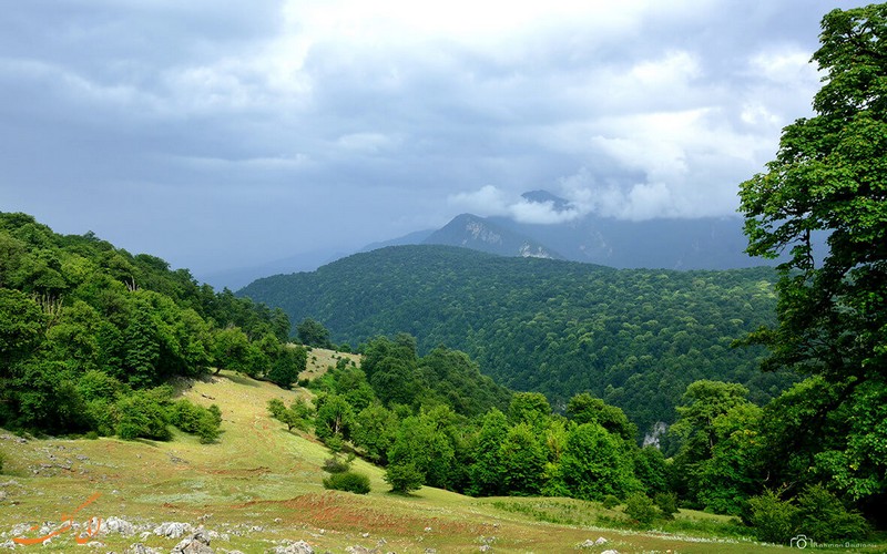 روستای آلاشت