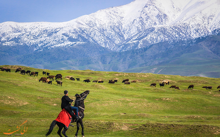 سمرقند در ازبسکتان