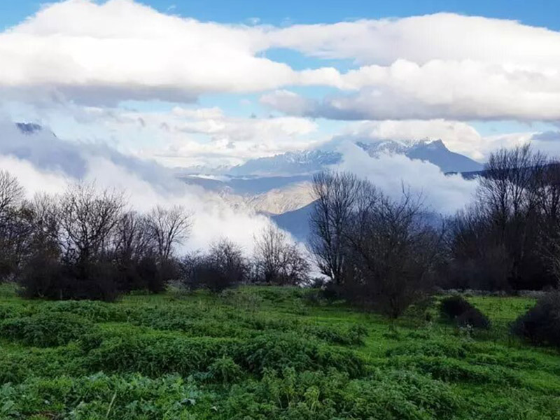 جنگل ارفع ده - الی گشت