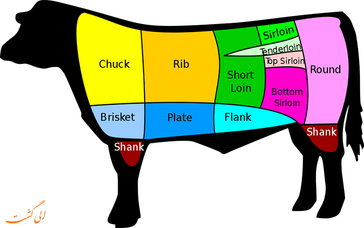 قسمت های مختلف گوشت گاو