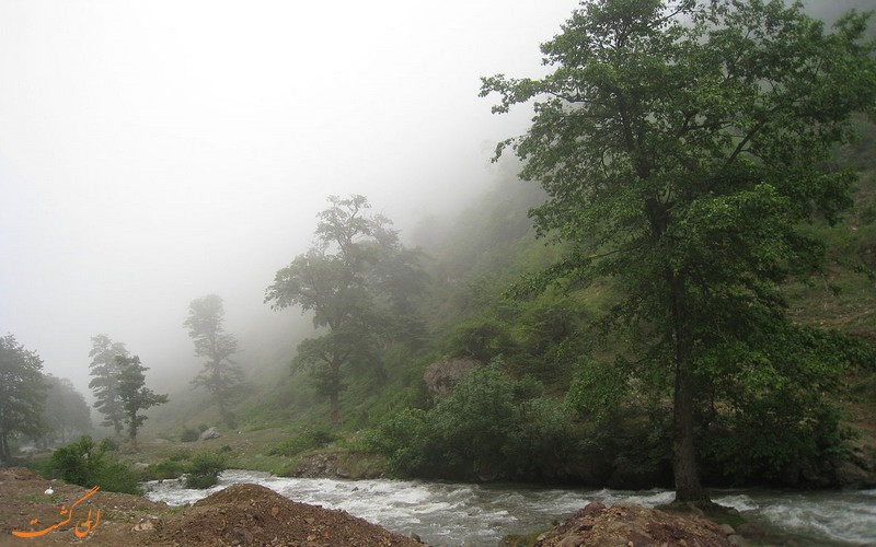 جنگل آزو و مجل کلاردشت مازندران