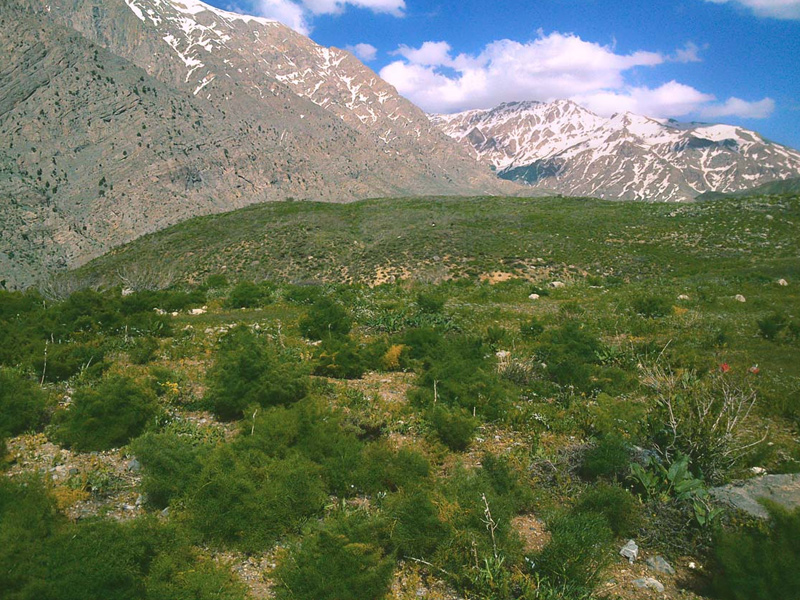 قله های ایران