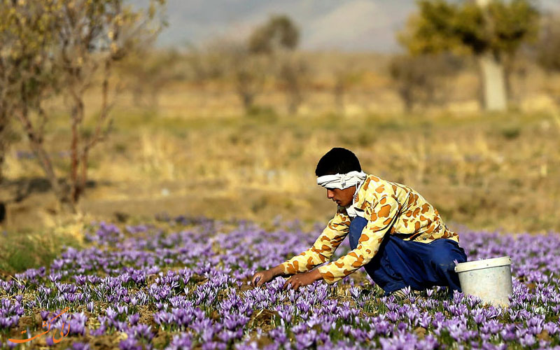 آشنایی با گردشگری کشاورزی